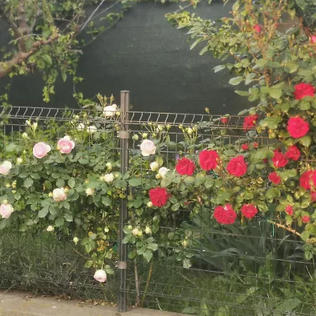 Bed & Breakfast R&b Il Melograno 3*
